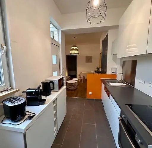 Arago1 - Centre Sur Jardin Tours